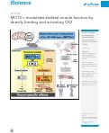 Cover page: MOTS-c modulates skeletal muscle function by directly binding and activating CK2.