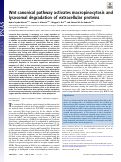 Cover page: Wnt canonical pathway activates macropinocytosis and lysosomal degradation of extracellular proteins