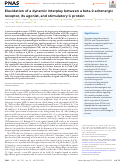 Cover page: Elucidation of a dynamic interplay between a beta-2 adrenergic receptor, its agonist, and stimulatory G protein