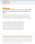 Cover page: Cloning of the wheat Yr15 resistance gene sheds light on the plant tandem kinase-pseudokinase family