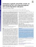 Cover page: Trichomonas vaginalis extracellular vesicles are internalized by host cells using proteoglycans and caveolin-dependent endocytosis