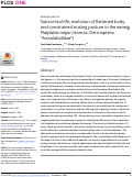 Cover page: Subcortical life, evolution of flattened body, and constrained mating posture in the earwig Platylabia major (Insecta: Dermaptera: Anisolabididae).