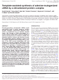 Cover page: Template-assisted synthesis of adenine-mutagenized cDNA by a retroelement protein complex