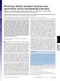 Cover page: Microscopy ambient ionization top-down mass spectrometry reveals developmental patterning