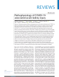 Cover page: Pathophysiology of COVID-19-associated acute kidney injury