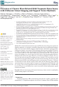 Cover page: Detection of Chronic Blast-Related Mild Traumatic Brain Injury with Diffusion Tensor Imaging and Support Vector Machines