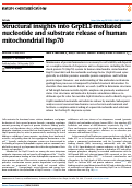 Cover page: Structural insights into GrpEL1-mediated nucleotide and substrate release of human mitochondrial Hsp70.