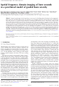 Cover page: Spatial frequency domain imaging of burn wounds in a preclinical model of graded burn severity