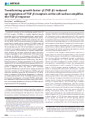 Cover page: Transforming growth factor–β (TGF-β)–induced up-regulation of TGF-β receptors at the cell surface amplifies the TGF-β response