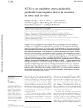 Cover page: ATF4 is an oxidative stress–inducible, prodeath transcription factor in neurons in vitro and in vivo