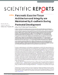 Cover page: Pancreatic Exocrine Tissue Architecture and Integrity are Maintained by E-cadherin During Postnatal Development