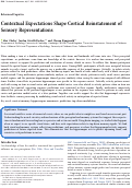 Cover page: Contextual Expectations Shape Cortical Reinstatement of Sensory Representations
