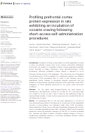 Cover page: Profiling prefrontal cortex protein expression in rats exhibiting an incubation of cocaine craving following short-access self-administration procedures.