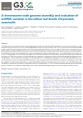 Cover page: A chromosome-scale genome assembly and evaluation of mtDNA variation in the willow leaf beetle Chrysomela aeneicollis.