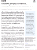 Cover page: Progerin forms an abnormal meshwork and has a dominant-negative effect on the nuclear lamina