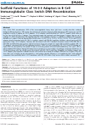 Cover page: Scaffold Functions of 14-3-3 Adaptors in B Cell Immunoglobulin Class Switch DNA Recombination
