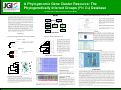 Cover page: A Phylogenomic Gene Cluster Resource: The Phylogenetically Inferred Groups (PhIGs) Database