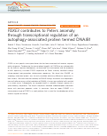 Cover page: FOXE3 contributes to Peters anomaly through transcriptional regulation of an autophagy-associated protein termed DNAJB1