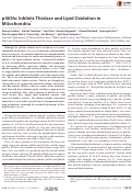 Cover page: p46Shc Inhibits Thiolase and Lipid Oxidation in Mitochondria*