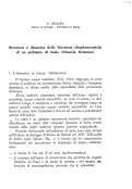 Cover page: Struttura e dinamica delle biocenosi eleoplanctoniche di un ambiente di risaia (Simaxis, Oristano)