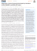 Cover page: Suppression of pinoid mutant phenotypes by mutations in PIN-FORMED 1 and PIN1-GFP fusion.