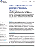 Cover page: Sox9 and Sox8 protect the adult testis from male-to-female genetic reprogramming and complete degeneration