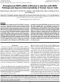 Cover page: Bioengineered NRF2-siRNA is effective to interfere with NRF2 pathways and improve chemosensitivity of human cancer cells