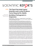 Cover page: The Type II Secreted Lipase/Esterase LesA is a Key Virulence Factor Required for Xylella fastidiosa Pathogenesis in Grapevines