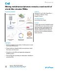Cover page: Mining metatranscriptomes reveals a vast world of viroid-like circular RNAs