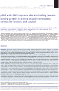 Cover page: p300 and cAMP response element-binding protein-binding protein in skeletal muscle homeostasis, contractile function, and survival.