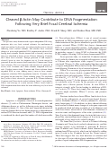 Cover page: Cleaved β-Actin May Contribute to DNA Fragmentation Following Very Brief Focal Cerebral Ischemia