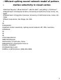 Cover page: Efficient spiking neural network model of pattern motion selectivity in visual cortex
