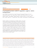 Cover page: A phosphotyrosine switch regulates organic cation transporters