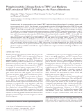 Cover page: Phosphoinositide 3-Kinase Binds to TRPV1 and Mediates NGF-stimulated TRPV1 Trafficking to the Plasma Membrane