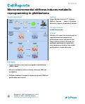 Cover page: Effects Of Matrix Stiffness On Glioblastoma Metabolism