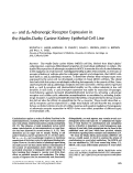 Cover page: alpha 1- and beta 2-adrenergic receptor expression in the Madin-Darby canine kidney epithelial cell line.