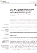 Cover page: Let’s Get Physical: Flavivirus-Host Protein–Protein Interactions in Replication and Pathogenesis