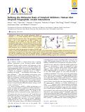 Cover page: Defining the Molecular Basis of Amyloid Inhibitors: Human Islet Amyloid Polypeptide–Insulin Interactions