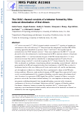 Cover page: The CRAC channel consists of a tetramer formed by Stim-induced dimerization of Orai dimers