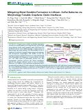 Cover page: Mitigating Metal Dendrite Formation in Lithium–Sulfur Batteries via Morphology-Tunable Graphene Oxide Interfaces