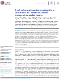 Cover page: T-cell calcium dynamics visualized in a ratiometric tdTomato-GCaMP6f transgenic reporter mouse