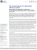 Cover page: The wiring diagram of a glomerular olfactory system