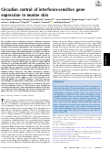 Cover page: Circadian control of interferon-sensitive gene expression in murine skin