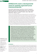 Cover page: EPIREGULIN creates a developmental niche for spatially organized human intestinal enteroids