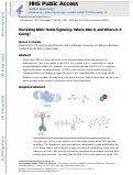 Cover page: Revisiting Nitric Oxide Signaling: Where Was It, and Where Is It Going?