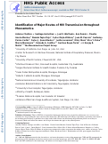 Cover page: Identification of major routes of HIV transmission throughout Mesoamerica