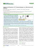 Cover page: Capture and Detection of T7 Bacteriophages on a Nanostructured Interface