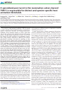 Cover page: A specialized pore turret in the mammalian cation channel TRPV1 is responsible for distinct and species-specific heat activation thresholds