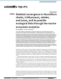 Cover page: Skeletal convergence in thunniform sharks, ichthyosaurs, whales, and tunas, and its possible ecological links through the marine ecosystem evolution.