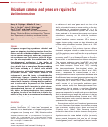 Cover page: Rhizobium common nod genes are required for biofilm formation.